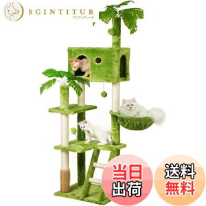 yzMeecal Lbg^[ ^Lp tt L^[  ω׏d10KG Lbg^[^ ܌|[ nbN ]|h~u LbgnEX L }bT[W VRR W]