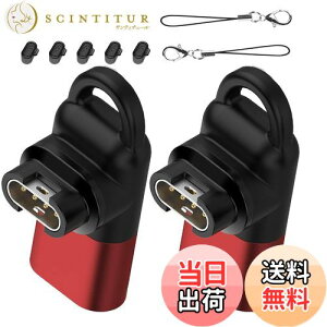 yzGarmin(K[~)pϊA_v^[i2j L^Type-CΉ + hovO [d|[gpi10jTPUf X}[gEIb`ϊA_v^[ K[~p ϊA_v^[ USB Type C ϊA_