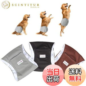 yzLuxja p}i[xg j̎q bV h Lk 3_Zbg }[LO R炵 IVbR΍ o  p(M,+O[+R[q[F)