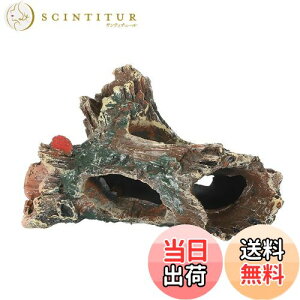 yzCharmoon ANAE  IuWF  B VF^[  A I[ig u (^Cv2)