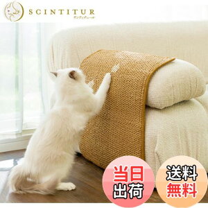 yzFTBOL L ܌  ܌V[g \ ܌V[g \t@ yh~z  L̒܌ A\t@AƋAǂɓ\ ϖ ܂Ȃ (XS:20x30cm)