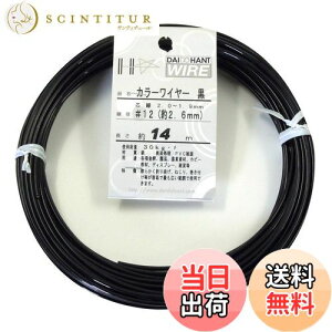 yz_Ch[ng (DAIDOHANT) j [rj[핢] J[C[ ubN (  ) [] #12 (2.6 mm x [] 14m 10155850