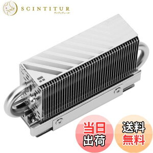 yzThermalright HR10 2280 SSDN[[A2280 SSDq[gVNpAʃq[gVNA2{̓q[gpCvAfXNgbv\2280 SSDN[[AT[}pbhtiHR10 2280)