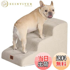 yzEHEYCIGA Ki 3i x[W hbOXebv ybgKi ~ߕt 􂦂 Jo[O i3iCx[Wj