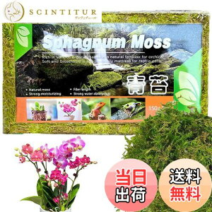 yzDEVENTORZ  - VR  k ~YSP 150g Ӓ A ւ |p |{y ݂|py yǍ kp엿p~YSP  h{fLx A