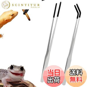 yzDeiboun sZbg  XeXX`[঒މagO 2{Zbg ŃGNXgO Xg[g&J[uOsZbg   JG gJQ ac[