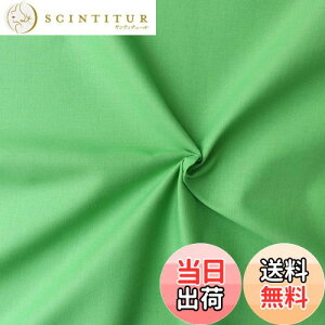 【送料無料】日本紐釦貿易(Nippon Chuko) エイティスクエア 無地 生地 綿100% シャーティング ワカバグリーン グリーン系 巾約108cm×50cm切売カット KD4630-211-50CM