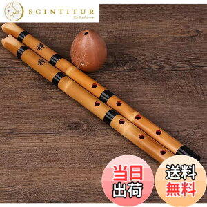 �y���������zJinchuan �ڔ� �a�y�� ���S�Ҍ��� 1��8�� �^�| �j�| ���K�p ���n �� �ؐF (�i�`������)