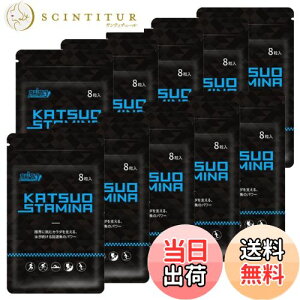 yzy10܃ZbgzKATSUO STAMINA JcTv 1(8)