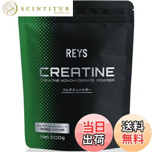 yzREYS CY NA` pE_[ 500g RV疾 ďCygpڈ 100񕪁zNA`mnCh[gij100%gp mt[o[