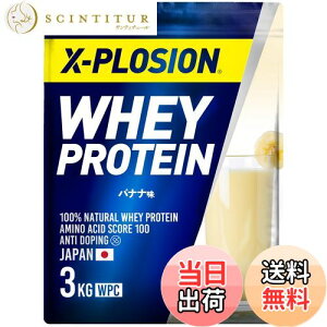 【送料無料】エクスプロージョン プロテイン 3kg ホエイプロテイン バナナ味 WPC X-PLOSION 日本製造