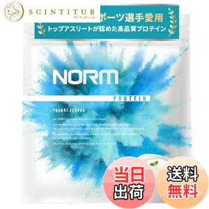 yzNORM m[ zGC veC lHÖsgp [Og 1kg 100ȏ̃gbvAX[gp WPC WHEY PROTEIN zGCveC 