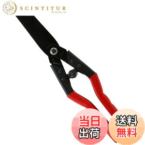 �y���������zSK11(�G�X�P�[11) �y�J�b�g������ �g�� WSR-270W ��R���؂�i�߂���