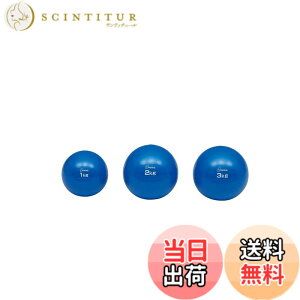 �y���������z�g�[�G�C���C�g(TOEI LIGHT) �\�t�g���f�B�V���{�[��2kg H7251