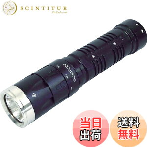 �y���������zSIGHTRON �T�C�g���� LED���C�g �u���C�g�e�b�N BRIGHT-TECH EX100FL ���邳100���[���� �h�� ���������O�t�� �y�� �R���p�N�g �X�g���{SOS���[�h���� BT1006