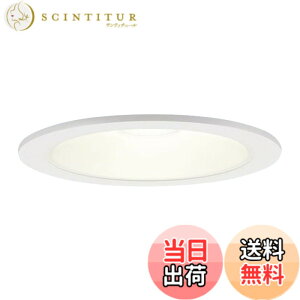 �y���������z�p�i�\�j�b�N(Panasonic) LED �_�E�����C�g �V�䖄���^ 60�` 125�a�d���F LSEB5125LE1