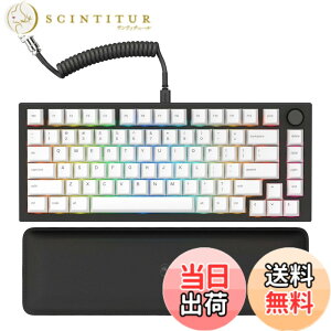�y���������zGlorious �O�����A�X GMMK PRO �Q�[�~���O���[�{�[�h 75% �R���p�N�g �u���b�N LED�o�b�N���C�g�t�� �p��z�� ���� RGB ���J�j�J���L�[�{�[�h �L�� �^�C�vc USB Mechanical keyboard gaming (83�L