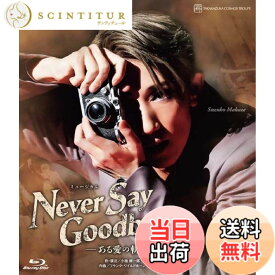 【送料無料】宙組宝塚大劇場公演『NEVER SAY GOODBYE』-ある愛の軌跡- [Blu-Ray]