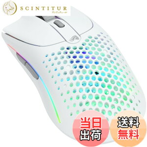 �y���������zGlorious Model O 2 Wired White ���y�� 49g RGB LED���� �L�� �Q�[�~���O�}�E�X �z���C�g GLO-MS-OV2-MW MS666