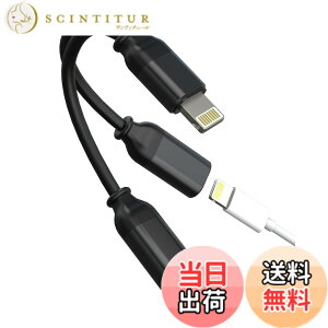 �y���������zLightning�C���z���W���b�N�A�_�v�^�[�i2in1�j�I�[�f�B�I�ϊ��� �}�C�N�t���C���z���[�dAUX�ԍ� Apple �Ή�iPhone 14 13 12 11 Pro Max �Ή�iPad Air Mini�p�h���O��