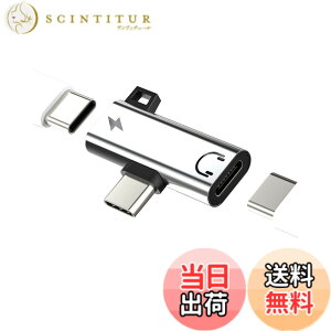 �y���������zType-C�C���z���A�_�v�^�[�i2in1�jDAC 3.5mm�W���b�N to USB C AUX�ԍڃI�[�f�B�I Apple �Ή�iPhone 15 Pro Max �Ή�iPad Mini6 �Ή�Samsung �}�C�N�t���A�N�Z�T���[�[�d�h���O��