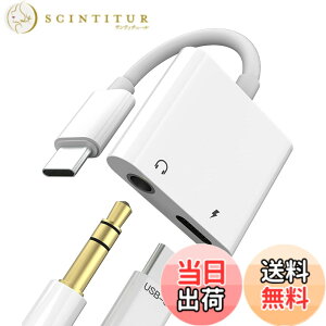 �y���������zUSB C to 3.5mm�W���b�N�A�_�v�^�[�i2in1�jApple �Ή�iPhone 15 Pro MAX Plus Mini �Ή�iPad�p �Ή�Samsung�Ή� DAC�C���z�� Type-C�P�[�u�� AUX�I�[�f�B�I �ԍ� �}�C�N �[�d�h���O��