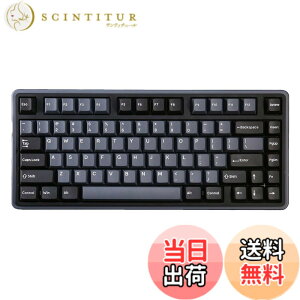 �y���������zVarmilo �Q�[�~���O�L�[�{�[�h ���s�b�h�g���K�[ Minilo75 HE ���C�X�C�b�` �z�b�g�X���b�v 75% Classic Black ���{���K�㗝�X�i