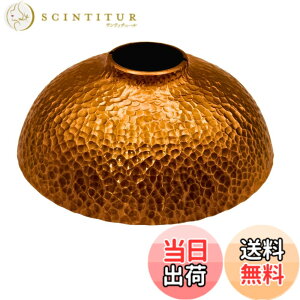 �y���������zFOREST HOME �����^���V�F�[�h 38explore �S�[���[�� �Ή� �^�J�� �b����Ɩڎd�グ �A�E�g�h�A�p�Ɩ��b223g �d�����E�^�J�����v�V�F�[�h (�A���e�B�[�N���F)