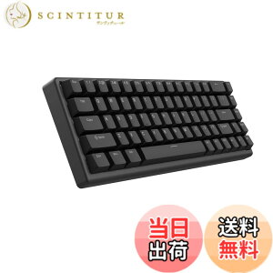 �y���������zArbiter Studio �Q�[�~���O�L�[�{�[�h ���s�b�h�g���K�[�Ή� ���C�X�C�b�` TENKO Polar 65 + �A���~�t���[�� 65% Just Black ���{���K�㗝�X�i