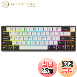 �y���������zArbiter Studio �Q�[�~���O�L�[�{�[�h ���s�b�h�g���K�[�Ή� ���C�X�C�b�` TENKO Polar 65 + �A���~�t���[�� 65% Black Panda ���{���K�㗝�X�i