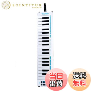 �y���������zWindkey �d�q���Ճn�[���j�J �E�B���L�[ WK37 TAHORNG �^�z�[��