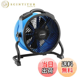�y���������zXPower FC-300 �u���[�A�L�V�����t�@���J�[�y�b�g�t���A�h���C���[�u�����[�����R�[���h���[�e�B���e�B�G�A�T�[�L�����[�^�[