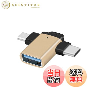 �y���������zleizhan USB 3.0���X-USB C���}�C�N���I�X�A�_�v�^ 3in1���@�\�AType-C to USB�A�_�v�^�AMacBook Pro/Air iPad Pro Micro�����Type-C�f�o�C�X�ƌ݊����̂���}�C�N��USB�A�_�v�^�R�l�N�^�A- �S�[��
