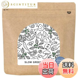 【送料無料】スローグリーンコーヒー（自然栽培・農薬不使用）30g 粉末