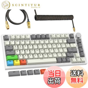 �y���������zMAMBASNAKExATTACK SHARK K85 ���s�b�h�g���K�[ �L�[�{�[�h �L�� 75% RGB �}�O�l�b�g �Q�[�~���O�L�[�{�[�h + �R�C���P�[�u�� + PBT�L�[�L���b�v ���C���J�j�J���Q�[�~���O�L�[�{�[�h �X�g