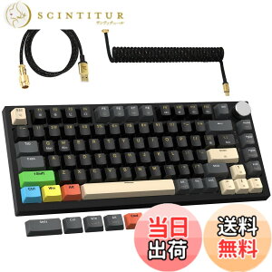 �y���������zMAMBASNAKExATTACK SHARK K85 ���s�b�h�g���K�[ �L�[�{�[�h �L�� 75% RGB �}�O�l�b�g �Q�[�~���O�L�[�{�[�h + �R�C���P�[�u�� + PBT�L�[�L���b�v ���C���J�j�J���Q�[�~���O�L�[�{�[�h �X�g