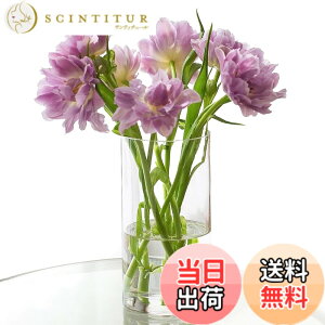 �y���������zWillingYou �ԕr ����Ȃ� ������ �t�����[�x�[�X �y�n�k�΍�E�q��/�y�b�g�Ɉ��S�z �K���X�̂悤�ȓ����� ������� ���k�͔| ��֑}�� ���d ���� �I�t�B�X �C���e���A (10cmx30cm)