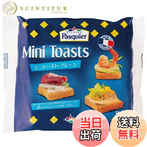 �y���������zbrioche Pasquier(�u���I�b�V���p�X�L�G) �~�j�g�[�X�g�v���[�� 80g(36������)