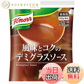 【送料無料】クノール 風味とコクのデミグラスソース 業務用 500g袋 ビーフシチュー 洋風だし
