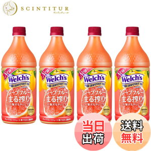 �y���������z�A�T�q���� Welch's �s���N�O���[�v�t���[�c100 800gx4�{ [�E�F���`] [�ʏ`]