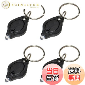 �y���������zGoods Land �y 4�� �Z�b�g �z�~���� UV LED �u���b�N���C�g 395nm ��ނ� ���A�[ ���[�� ���点�� GD-SAITIKU-4SET