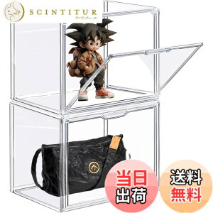 �y���������zYoimize �t�B�M���A�P�[�X 36x22x27cm 2�� �}�O�l�b�g�t���� �R���N�V�����P�[�X �����A�N�����v���X�`�b�N�P�[�X �W���P�[�X ���b�N�L���b�`�t���ςݏd�ˎ� �g�ݗ��Ď� �h�� �h�o 