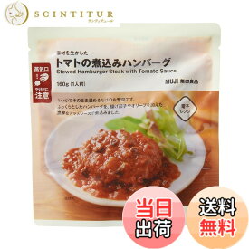【送料無料】無印良品 素材を生かした トマトの煮込みハンバーグ 1人前 TCF09A4A