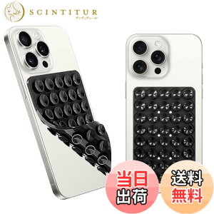 �y���������z�yBARDATS�z�V���R���z�Փd�b�}�E���g�P�[�X ���� 40 �O���C�� �T�N�V�����t�H���P�[�X�}�E���g ����~�ߋz�Փd�b�}�E���g ���B���r�f�I�p�̃n���Y�t���[���̓O���b�v�z���_