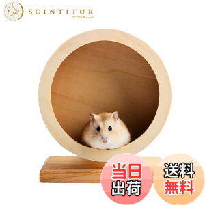 回し車 鳥 小動物用ペットグッズ ハムスター」の人気商品一覧・価格 