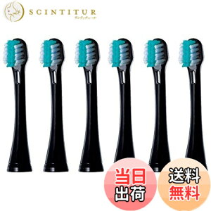 �y���������z�p�i�\�j�b�N ���g�U���n�u���V �ւ��u���V �C�I���p���W�ɍזуu���V EW0913-K�� 2�{��x3�Z�b�g�i�v6�{�j