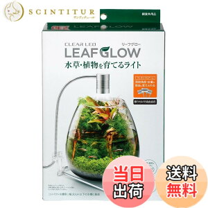 ���i�摜