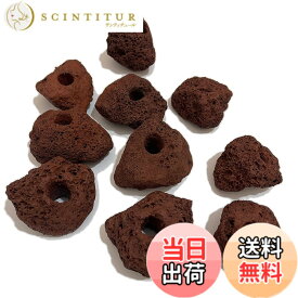 【送料無料】S-NET 溶岩 石 火山 岩 水槽 穴あき オブジェ 10個 セット アクアリウム 飾り レイアウト 5cm 100g 前後 床 水草 SN-299-AY 赤