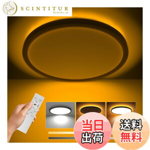 �y���������zCoizabera LED�V�[�����O���C�g 6�� 3600lm �Ԑڌ��t�� ��铔 �������ȓV��Ɩ� ��30cm �����E���F�@�\ �ɔ��f�U�C�� �������[�h���� ���͋C�����o����i�C�g���C�g �d�C�u���� ��