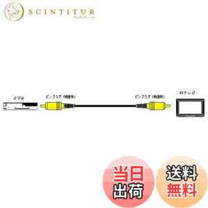 �y���������zJVC�P���E�b�h �r�N�^�[ �s���v���OX1-�s���v���OX1 2M 2�d�V�[���h VX-120E